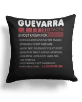 Cotton Drill Pillow (Dual Sided)