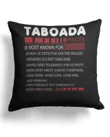 Cotton Drill Pillow (Dual Sided)