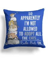 Cotton Drill Pillow (Dual Sided)