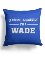 Cotton Drill Pillow (Dual Sided)