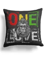 Cotton Drill Pillow (Dual Sided)