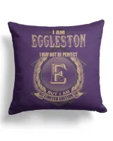 Cotton Drill Pillow (Dual Sided)