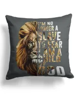 Cotton Drill Pillow (Dual Sided)