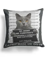 Cotton Drill Pillow (Dual Sided)