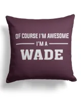 Cotton Drill Pillow (Dual Sided)