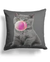 Cotton Drill Pillow (Dual Sided)