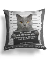 Cotton Drill Pillow (Dual Sided)