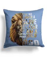 Cotton Drill Pillow (Dual Sided)