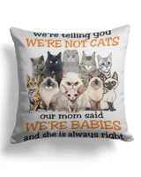 Cotton Drill Pillow (Dual Sided)
