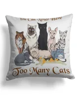 Cotton Drill Pillow (Dual Sided)