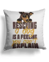 Cotton Drill Pillow (Dual Sided)
