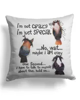 Cotton Drill Pillow (Dual Sided)