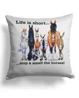 Cotton Drill Pillow (Dual Sided)