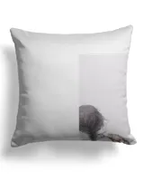 Cotton Drill Pillow (Dual Sided)
