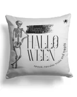 Cotton Drill Pillow (Dual Sided)