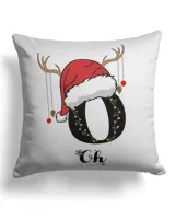 Cotton Drill Pillow (Dual Sided)