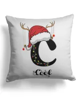 Cotton Drill Pillow (Dual Sided)