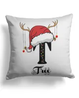 Cotton Drill Pillow (Dual Sided)