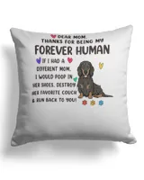 Cotton Drill Pillow (Dual Sided)