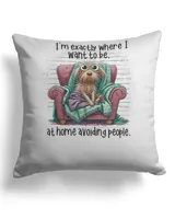 Cotton Drill Pillow (Dual Sided)