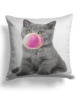 Cotton Drill Pillow (Dual Sided)