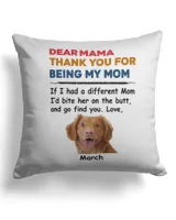 Cotton Drill Pillow (Dual Sided)