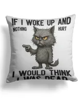 Cotton Drill Pillow (Dual Sided)