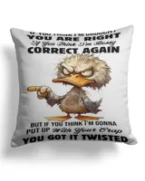 Cotton Drill Pillow (Dual Sided)