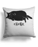 Cotton Drill Pillow (Dual Sided)
