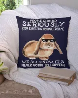 Cotton Drill Pillow (Dual Sided)