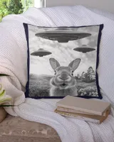 Cotton Drill Pillow (Dual Sided)