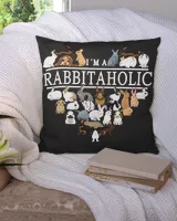 Cotton Drill Pillow (Dual Sided)