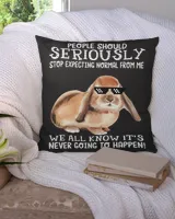 Cotton Drill Pillow (Dual Sided)