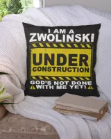 Cotton Drill Pillow (Dual Sided)