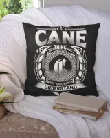 Cotton Drill Pillow (Dual Sided)