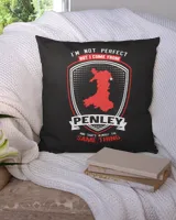 pameng-PENLEY Cotton Drill Pillow (Dual Sided) black 16x16in