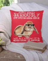Cotton Drill Pillow (Dual Sided)