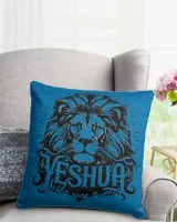 Cotton Drill Pillow (Dual Sided)