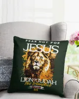 Cotton Drill Pillow (Dual Sided)
