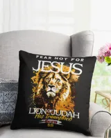 Cotton Drill Pillow (Dual Sided)