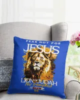 Cotton Drill Pillow (Dual Sided)