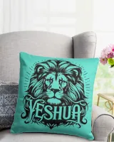 Cotton Drill Pillow (Dual Sided)