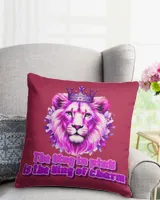 Cotton Drill Pillow (Dual Sided)