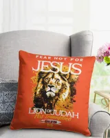 Cotton Drill Pillow (Dual Sided)