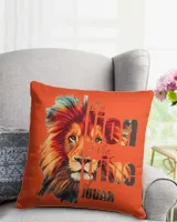 Cotton Drill Pillow (Dual Sided)