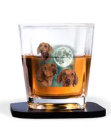 Decanter Set Full - 4 Glasses + 4 Coasters