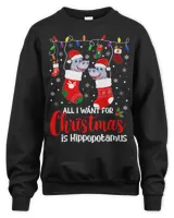 Unisex Sweatshirt (Overnight)