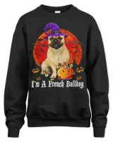 Unisex Sweatshirt (Overnight)