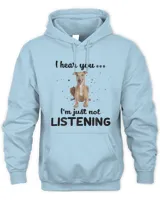 Unisex Hoodie (Overnight)