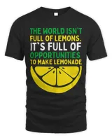 Unisex Standard T-Shirt (Overnight)